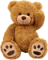 teddy